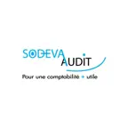Connexens Audit International iOS Icon