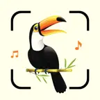 Bird Song Identifier Sounds ID iOS Icon