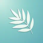 Mint Translate:Text Translator iOS Icon