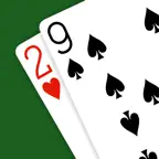 29 Card Game - Expert AI iOS Icon