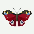 BNE icon