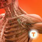 Human Body for Kids 2 (K-5) iOS Icon