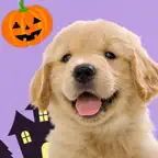 My Dog & Me: Puppy Simulator Icon