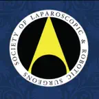 SLS MIS Hub Icon