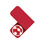 Danskfloorball.tv iOS Icon