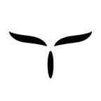 Skill Series iOS Icon