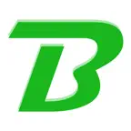BRiAN Mobile Report App (MRA) iOS Icon