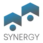 Synergy Motor iOS Icon