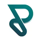 Pix VPN iOS Icon