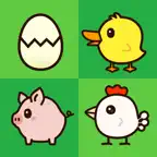 Happy Zoo - Chicken lay eggs iOS Icon