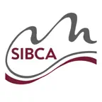 Sistema Museale Valle Trompia iOS Icon