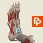 Primal's 3D Leg, Ankle & Foot icon