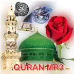 Offline Quran | Mukhtar alHajj iOS Icon