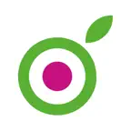 Зеленое Яблоко. iOS Icon