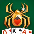 Spider Solitaire Daily iOS Icon