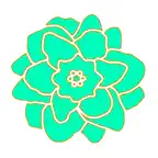 Carewear Family iOS Icon