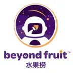Beyond Fruit iOS Icon