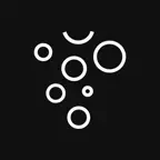 Dion icon