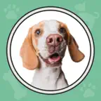 Dog Whistle & Puppy Training iOS Icon