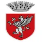 Parcheggi Perugia iOS Icon