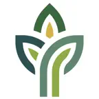 Cypress Green iOS Icon