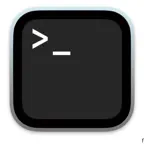 Terminal Emulator app iOS Icon