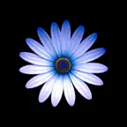 BlueSim: Bluetooth Simulator icon