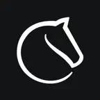 Lichess icon