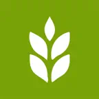 Maydan iOS Icon