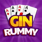 Gin Rummy: Offline Game iOS Icon