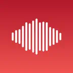 Voice Notes - Transcribe Voice iOS Icon