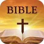 Bible Read & Study iOS Icon