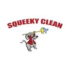 Squeeky Clean Car Wash iOS Icon