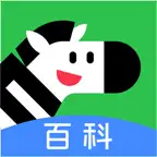 斑马百科 iOS Icon