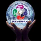 IUEs/Insam1 iOS Icon