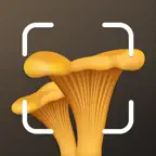 Mushroom Identification ID iOS Icon