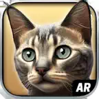 My Cat AR: Real Cat Simulator iOS Icon