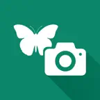 iSCOUT Mobile iOS Icon