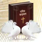 Hindi bible - verse,name,game iOS Icon