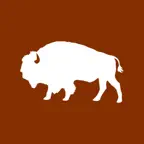 Cappa 360 Adapted iOS Icon