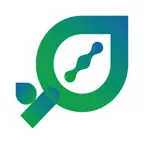Iren Ambiente iOS Icon