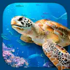 Virtual Reality OCEANS! iOS Icon