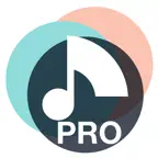 Ear training Pro: piano guitar iOS Icon