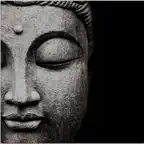 Buddha's Footsteps App iOS Icon