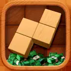Blocks Cash: Win Real Money iOS Icon