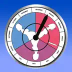 Perfect OB Wheel iOS Icon