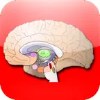 Anatomy Atlas iOS Icon