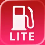 Road Trip MPG Lite iOS Icon