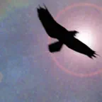 Shamanic Journey Drumming - Frauke Rotwein iOS Icon