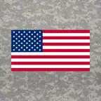 U.S. Armed Forces iOS Icon